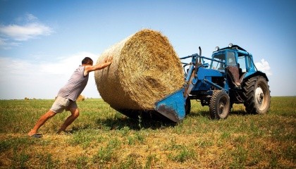 Последние три года фермеров методично лишают льгот. Украинские фермеры вынуждены жить по законам джунглей