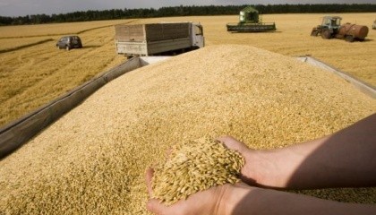 У поточному періоді обсяги закупівлі зернових, саме у сільгоспвиробників, будуть не менше 200 тис. т озимої пшениці, 80 тис. т озимого ячменю та 15 тис. т озимого жита