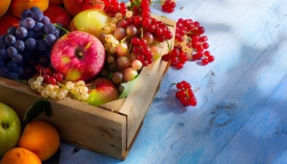 Українські виробники ягід і фруктів за підсумками міжнародної сільгоспвиставки Asia Fruit Logistiсa в Гонконзі отримали пропозиції на покупку яблук і ягід