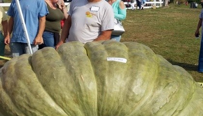 Американский фермер из штата Род-Айленд Джо Джатрас стал первым в мире овощеводом, который вырастил рекорды в трех номинациях