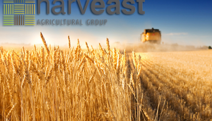 HarvEast создает собственную семенную лабораторию, которая позволяет контролировать качество собственного семенного материала и сторонних производителей