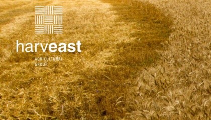 Генеральный директор HarvEast Дмитрий Скорняков: "Мы продолжаем делать ставку на бобовые культуры. 2016-й стал пилотным - мы использовали его для выращивания семенного материала и наработки технологий"