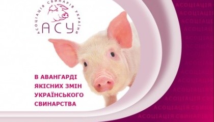Після закриття російського ринку, куди потрапляло близько 50 тис. т продукції свинарів, експорт за обсягами "обвалився" в рази. Свинарі активізувалися і з’явилися цікаві напрямки