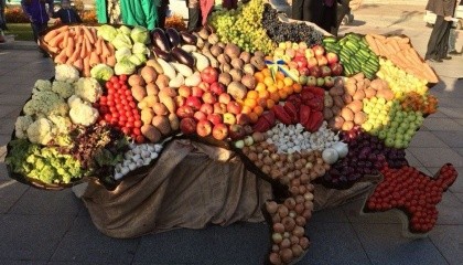 У сезоні-2016 українське плодоовочівництво вступило в нову фазу розвитку й активізувало свій експортний потенціал, — Т.Гетьман