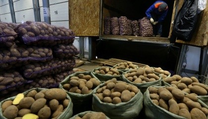В Україні стрімко підвищується ціна картоплю та моркву. Якщо вартість кілограма моркви лише досягла рекордних показників минулого року, то у випадку з картоплею можна констатувати встановлення п'ятирічного цінового рекорду