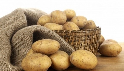 В феврале розничные цены на картофель могут достигать 12-16 грн/кг