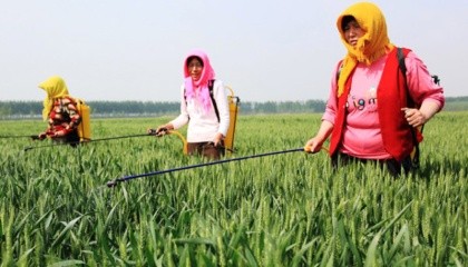 По данным Национального бюро статистики Китая (NBS), в апреле 2017 года Китай произвел 333,131 т пестицидов, что на 2,05% меньше по сравнению с аналогичным периодом прошлого года