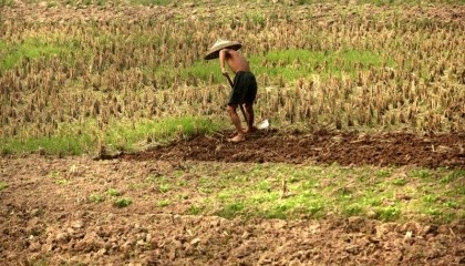 Цзя Цзінлун помстився за зруйнований будинок і втрату нареченої.