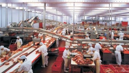 В городе Нежин Черниговской области начнется строительство нового мясокомбината. Под строительство нового мясокомбината городские власти уже выделили землю