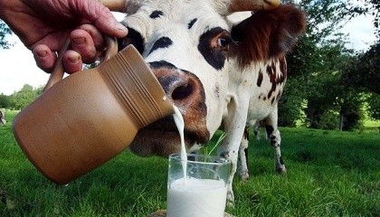 В 2016 г. в молочной отрасли появилось множество стартапов, которые изменят производство и переработку молока. Большинство из них касались экспериментов с автоматическим определением болезней и автоматизацией производства