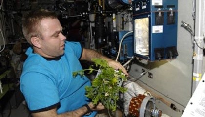 В Космическом центре Кеннеди создали концепт оранжереи, которая подойдет для разведения «сада-огорода» на космических станциях