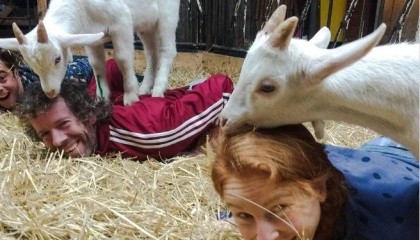 В Нидерландах открылась необычная козья ферма Goat Yoga Amsterdam, где желающие могут не только заняться йогой с козами, но и попасть на прием к уникальным и необычным массажистам – козлятам