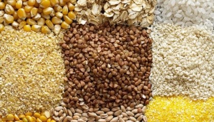 Найбільшим викликом на світовому ринку є великі залишки сільгосппродукції з минулого року, особливо пшениці і кукурудзи