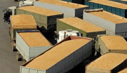 Расходы на транспортироваку зерна в Украине на 40% выше, чем в Европе.