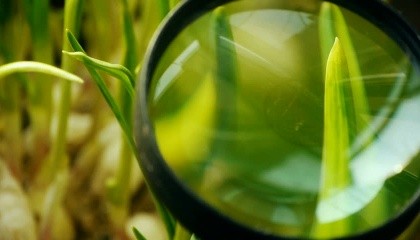 Израильские специалисты обследовали украинские поля и предоставили ряд рекомендаций по повышению качества обработки пестицидами и внедрения орошения
