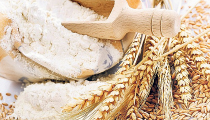 По итогам 2016/17 МГ внутреннее потребление зерновых и зернобобовых культур в Украине оценивается аналитиками на уровне 24,2 млн т