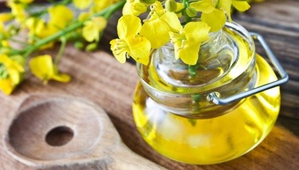 Українську соєву олію імпортували 29 країн