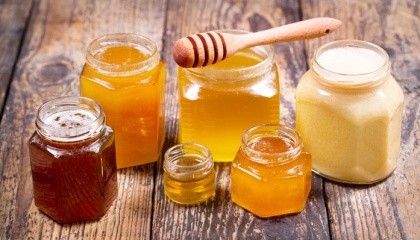 Експорт українського меду за 7 місяців 2017 року виріс на 57% в порівнянні з аналогічним періодом минулого року і склав $ 35,3 млн