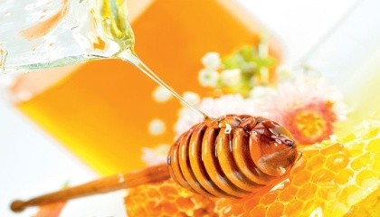 Бджолині кооперативи, які будуть спущені згори, пасічники розглядають як спробу  поставити їх на облік ще й обкласти податком