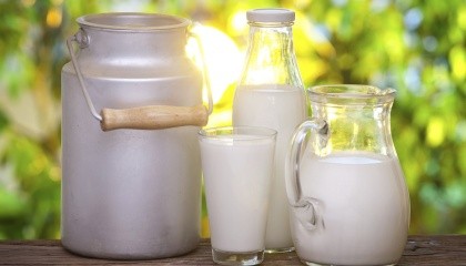 Сегодня у нас много расходных статей, не имеющих отношения к производству молока, покрываются за счет цены молока. Таким образом в хозяйствах перекрываются показатели и получаемая прибыль