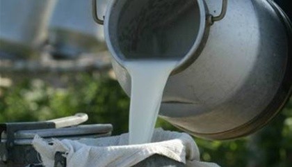 Производители молока открыто заявили, что они не готовы пока "открывать карты" и говорить о себестоимости для того, чтобы составлять долгосрочные контракты