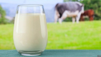 В Джулинской общине, в Бершадском районе Винницкой области, создан молочный кооператив "Подольская надежда"