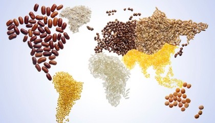 Скориставшись вибуттям з ринку російської продукції, останні роки європейські компанії вели активну роботу з просування свої сортів пшениці та ячменю, які користуються особливим попитом в західних областях