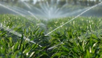 В США создали пестицид нового принципа действия под названием КропКоат, не похожий ни на один из существующих преператов