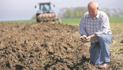 Під органічний напрям сільськогосподарського виробництва в Україні, згідно наявних статистичних даних, сертифіковано 421 тис. га угідь