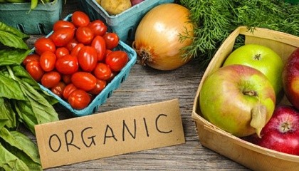 В Украине - более 210 сертифицированных органических предприятий, которые выращивают биопродукцию на 410 га
