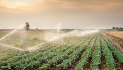 За оцінками ФАО, потенціал України дозволяє виробляти досить продовольства для того, щоб нагодувати 450-500 млн осіб