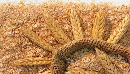 Египет активизировал в этом сезоне импорт пшеничных отрубей из Украины
