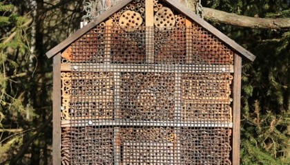 Благодаря пчелиному опылению можно повысить урожайность культур в несколько раз. Осталось только привлечь пчел к полю, и сделать это поможет специальный отель