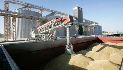 Многие страны-импортеры украинского зерна предпочитают покупать его небольшими партиями - от 5 до 15 тыс. т. Такая экспортная партия помещается на суда типа coaster