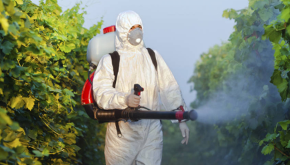 Еврокомиссия ожидает, что 70 биологических пестицидов, утвержденных по старым критериям агрохимических регистрации ЕС, могут быть классифицированы как препараты с «низким риском»