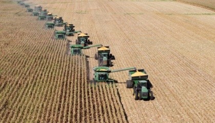 Зерновий експорт України перебуває в жорсткій конкуренції з зерновим експортом РФ і Казахстану. В підсумку, вплив українського експорту позначається передусім на суміжних для країн ринках