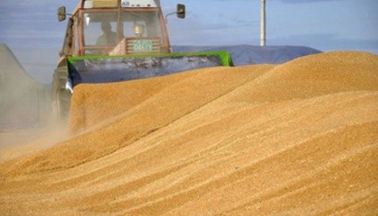 Основным рынком сбыта украинской пшеницы стала Индонезия, на которую пришлось 15% всех поставок в этот период - более 850 тыс. т