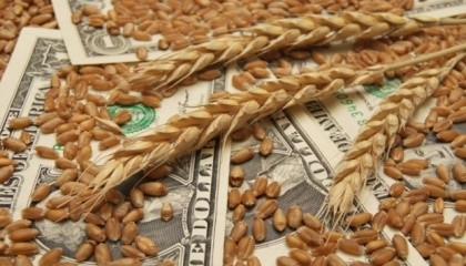 Світовий ринок пшениці цілком і повністю увійшов у фазу «погодного ринку», коли вирішальний вплив на ціни мають погодні умови в основних країнах-виробниках зернових