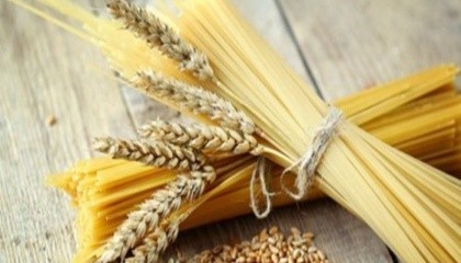 Яра пшениця може бути привабливіша озимої