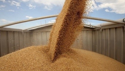 Згідно з прогнозом Міжнародної ради по зерну (IGC), до кінця 2016/17 МР Україна ще може відправити на експорт всього 1,8 млн т пшениці