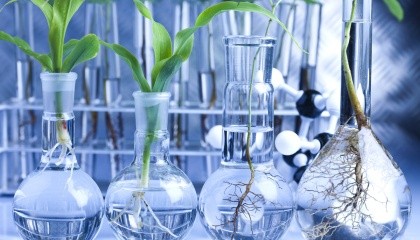 Нідерланди вважають, що нові методи селекції рослин не повинні підпадати під законодавство про ГМО, оскільки вони такі ж безпечні, як традиційне розведення