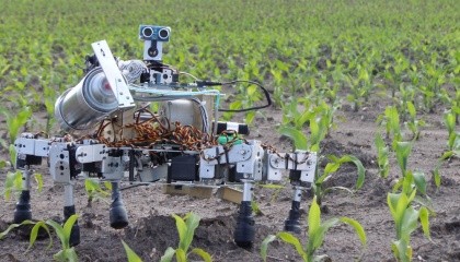 Prospero - робот, который умеет сажать семена. Этого робота-паука разработал инженер Дэвид Доурхаут