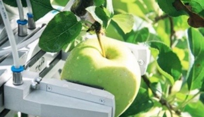 В Беларуси начнут выпускать роботов для уборки яблок