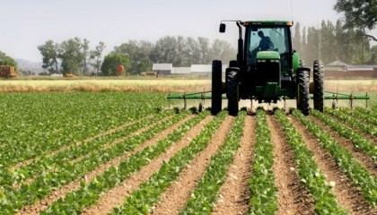 Переважна більшість фермерських господарств має в обробці невеликі площі земель, які можуть оброблятися за участю виключно членів сім'ї фермерського господарства