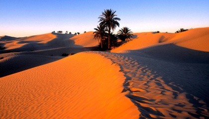 В ближайшие сто лет окраины и засушливые регионы Сахары станут зелеными и превратяться в саванну