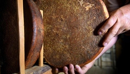 У швейцарському селі Гріменц, яке розташоване у франкомовній частині кантону Вале, знайшли ​​головку сиру 142-річної давності