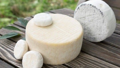 В Україні з'являється все більше фермерів, які виробляють якісний крафтовий сир з молока