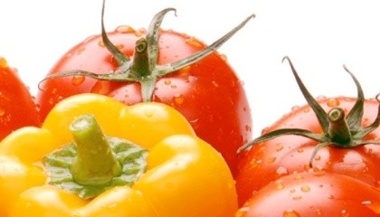 На думку трейдерів, найбільший експортний потенціал в 2017 році мають тепличні овочі, а саме огірки, томати і перець