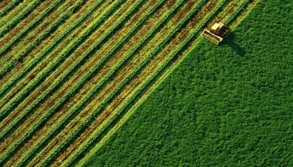 Компания "ТАС Агро" планирует расширить земельный банк на 20-30 тыс. га для развития зернового направления и выращивание сырья для биоэнергетики