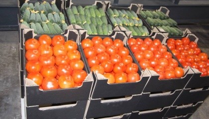 В селе Водяное Каменско-Днепровского района Запорожской области открыли первую в Украине станцию ​​послеуборочной доработки томатов